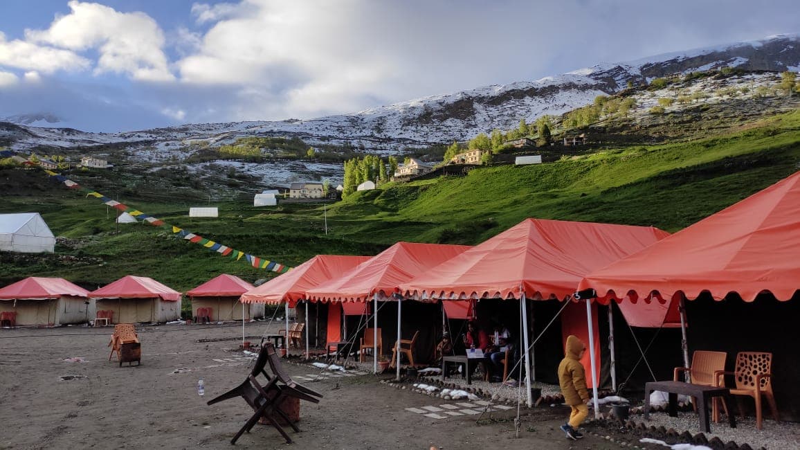 The Best Season to See Himachal's Apple Orchards